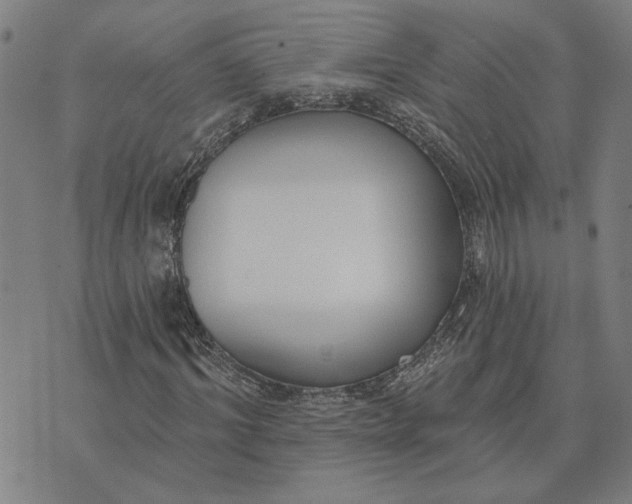 X0000074260964200609081732