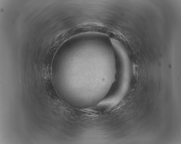 X0000074260965200609081732