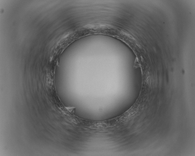 X0000074260966200609081732