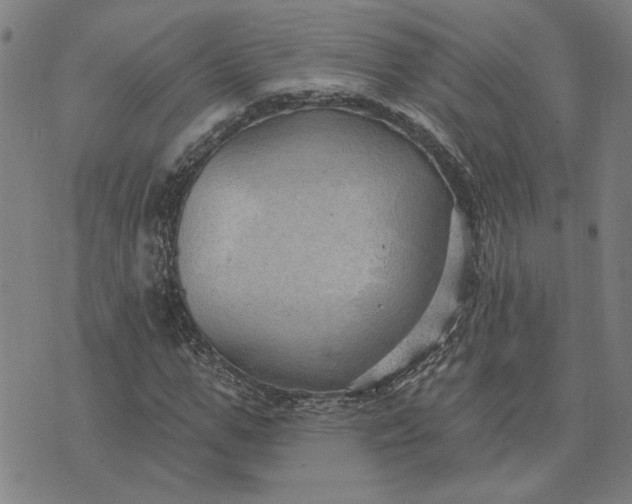 X0000074260967200609081732