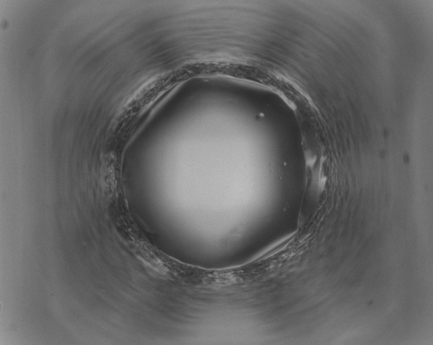 X0000074260968200609081732