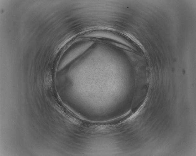 X0000074260969200609081732