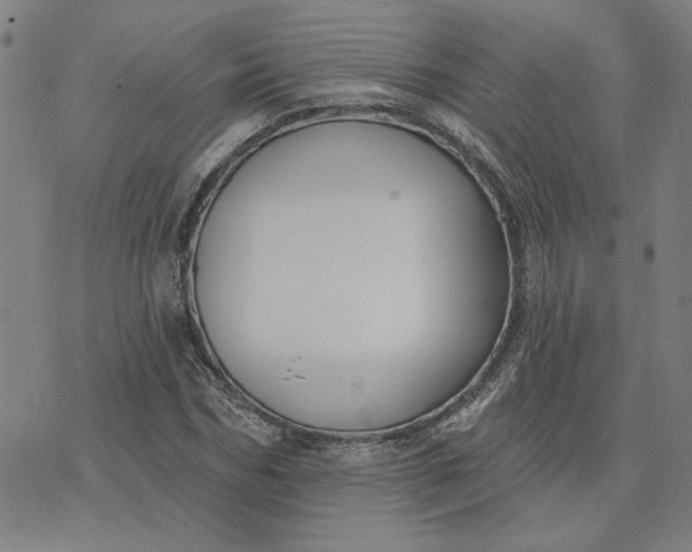 X0000074260970200609081732