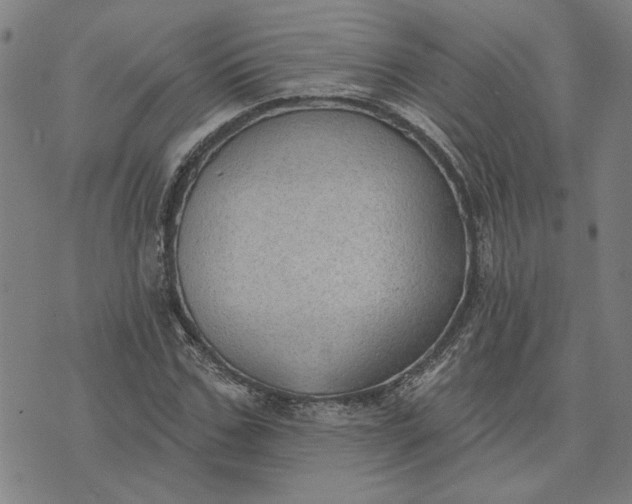 X0000074260971200609081732