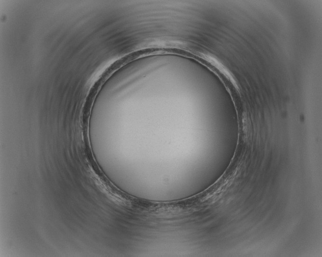 X0000074260972200609081732