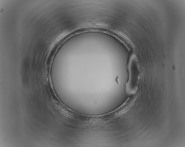 X0000074260974200609081732