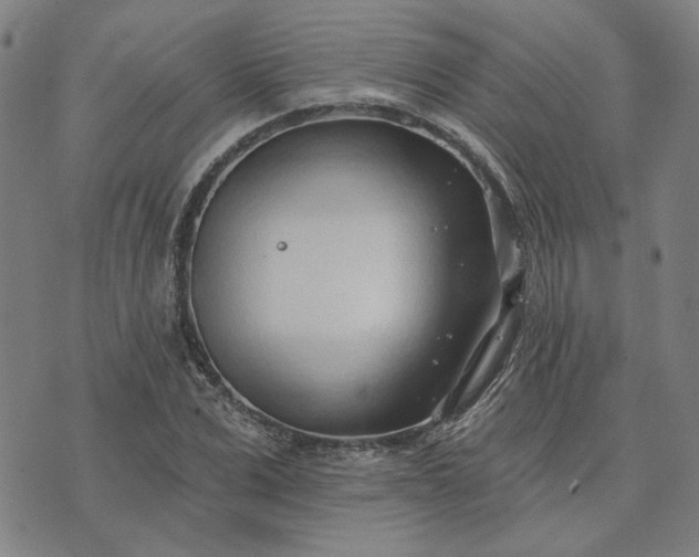 X0000074260975200609081732