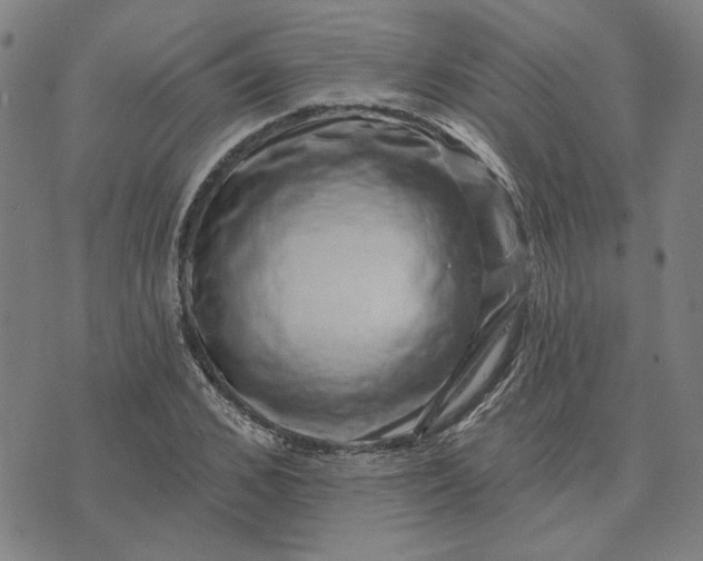 X0000074260976200609081732