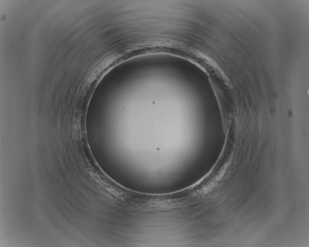 X0000074260977200609081732