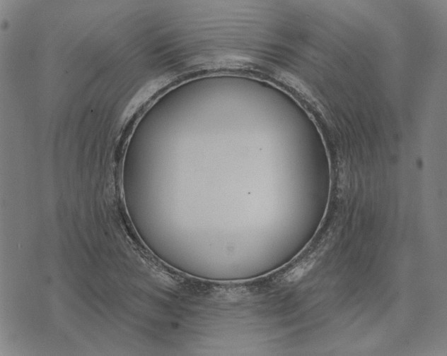 X0000074260978200609081732