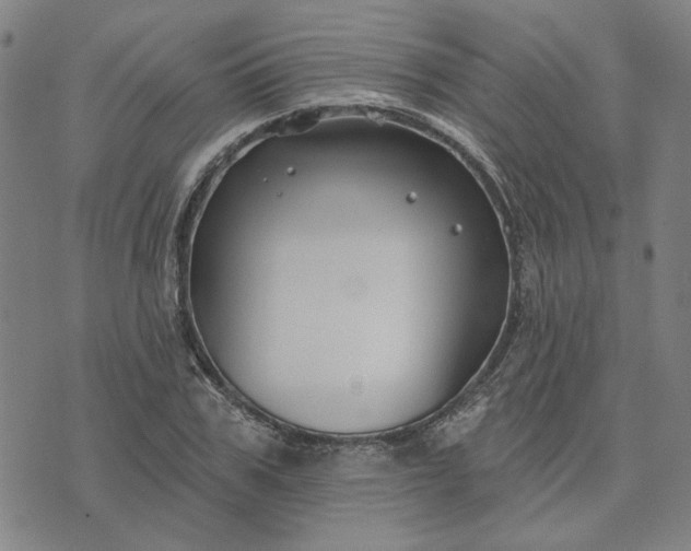 X0000074260979200609081732