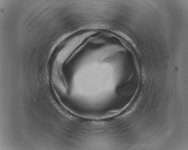 X0000074260981200609081732