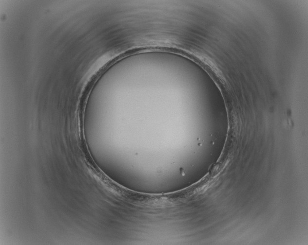 X0000074260982200609081732