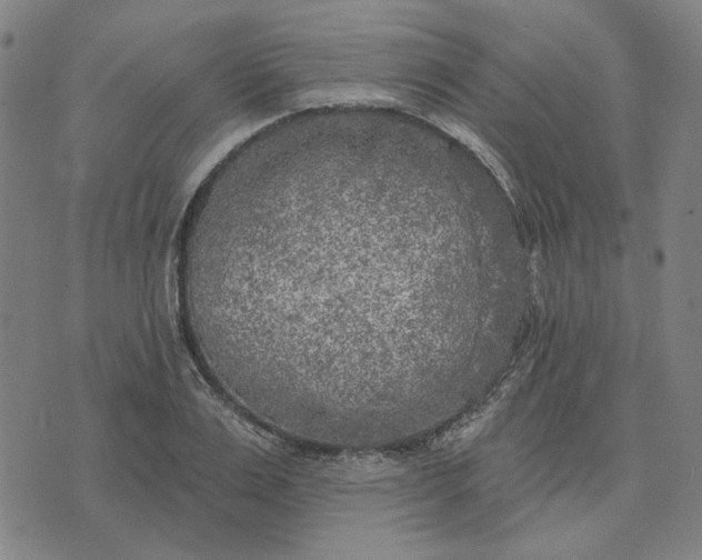 X0000074260983200609081732