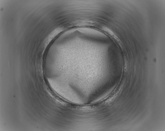 X0000074260986200609081732