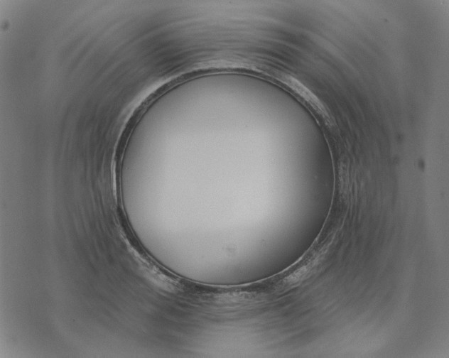 X0000074260988200609081732