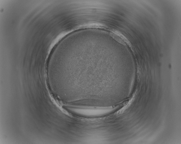 X0000074260989200609081732