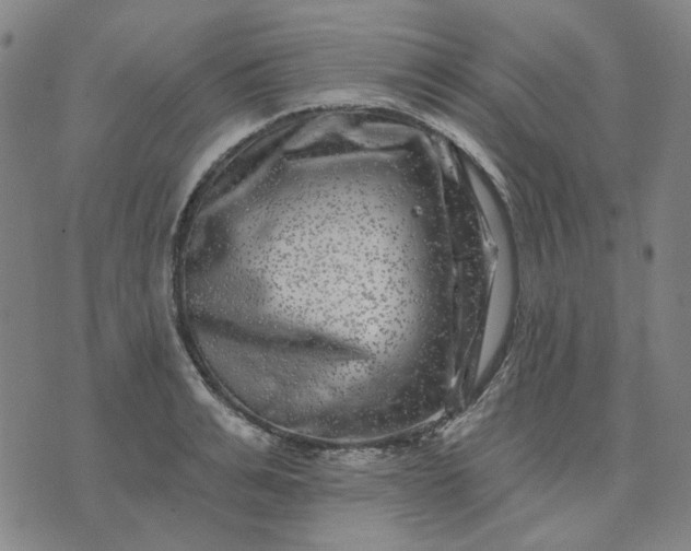 X0000074260991200609081732