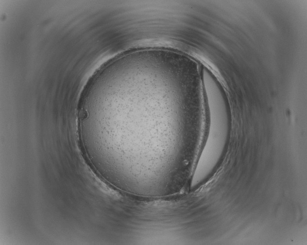 X0000074260992200609081732