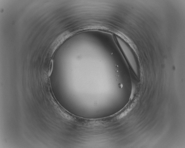 X0000074260993200609081732