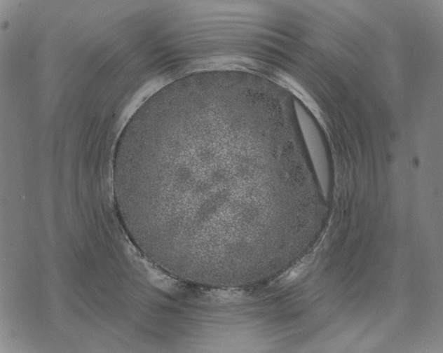 X0000074260994200609081732