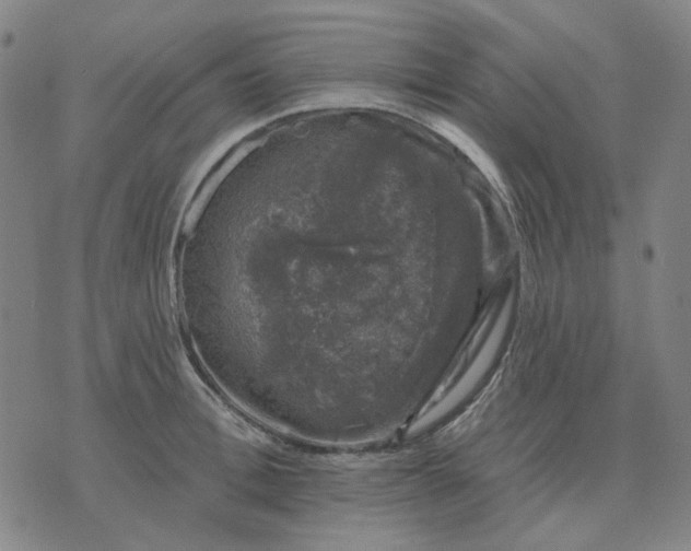 X0000074260996200609081732