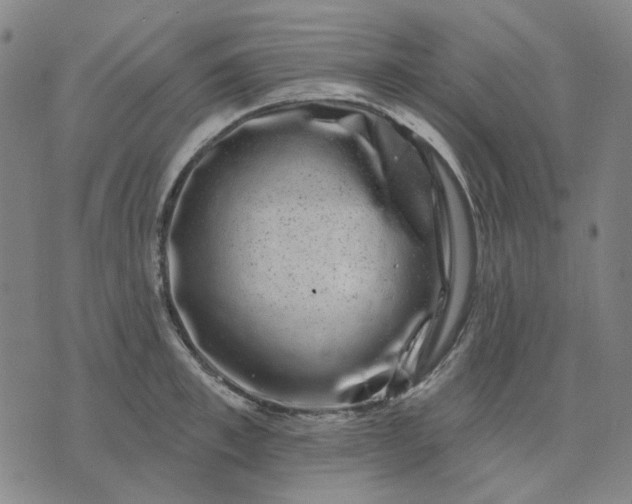 X0000074260997200609081732