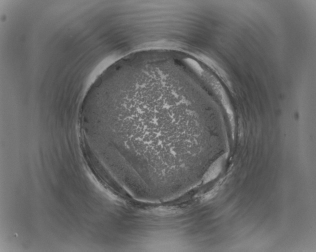 X0000074260998200609081732