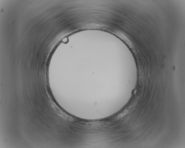 X0000074261000200609081732