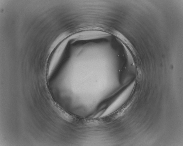 X0000074261002200609081731