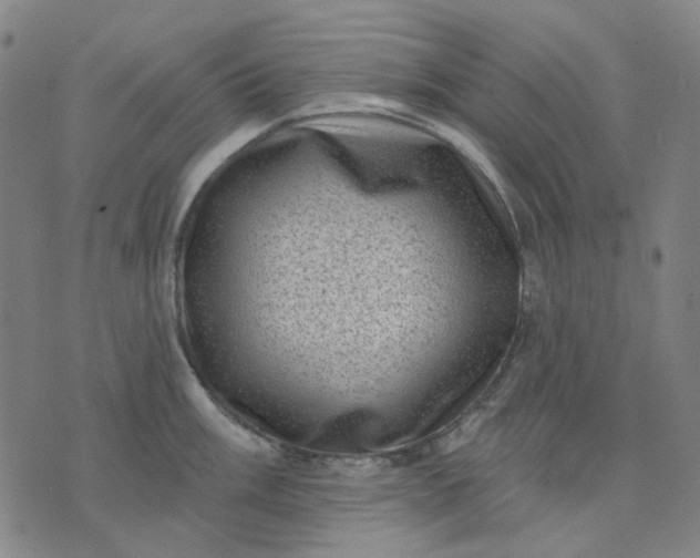 X0000074261003200609081731