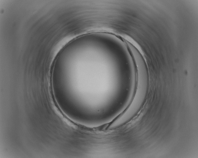 X0000074261005200609081731