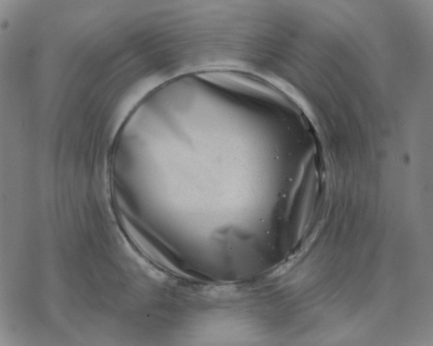 X0000074261006200609081731