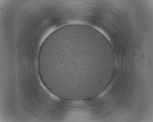 X0000074261007200609081731