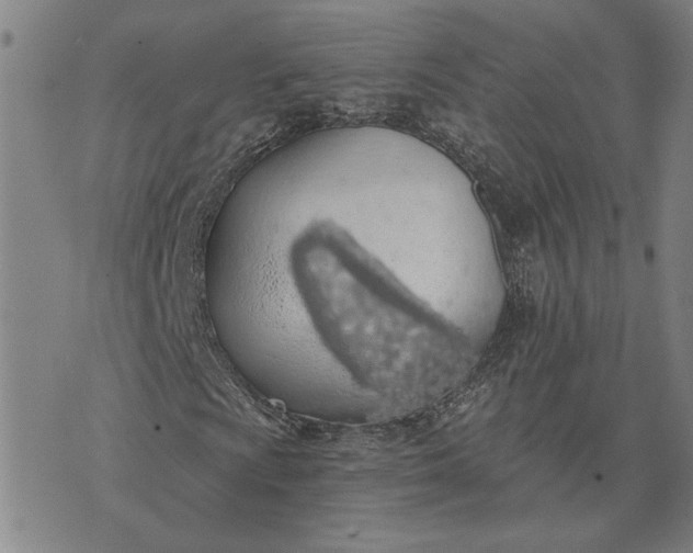 X0000074261009200609081731