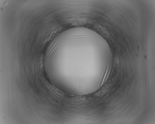 X0000074261012200609081731