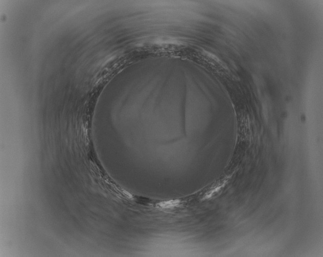 X0000074261013200609081731