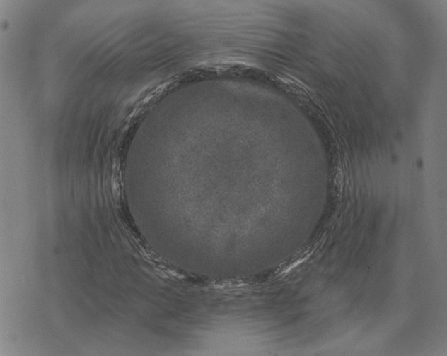 X0000074261014200609081731