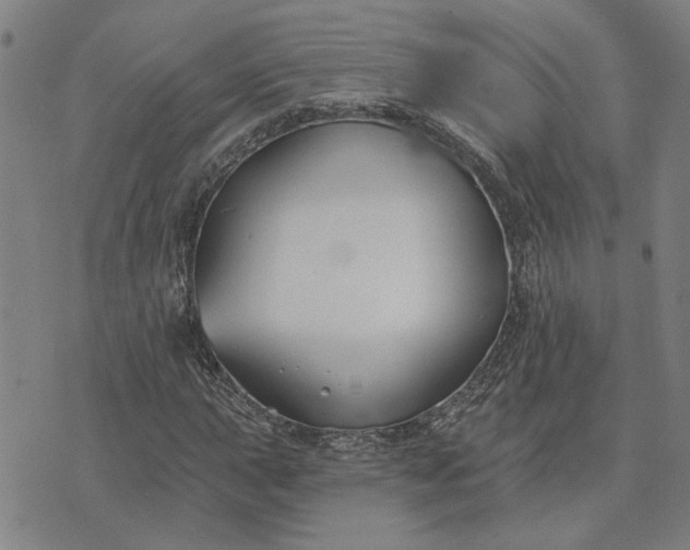 X0000074261015200609081731