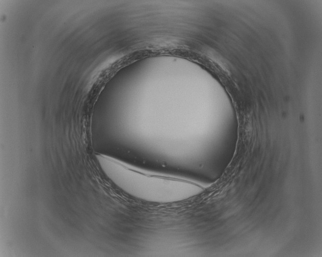 X0000074261016200609081731