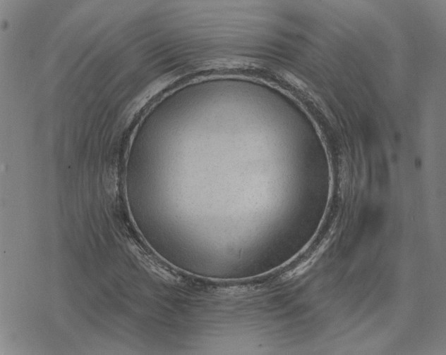 X0000074261017200609081731