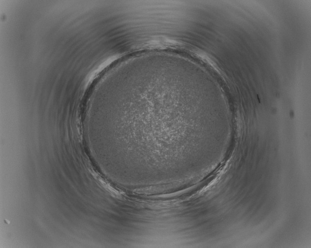 X0000074261018200609081731