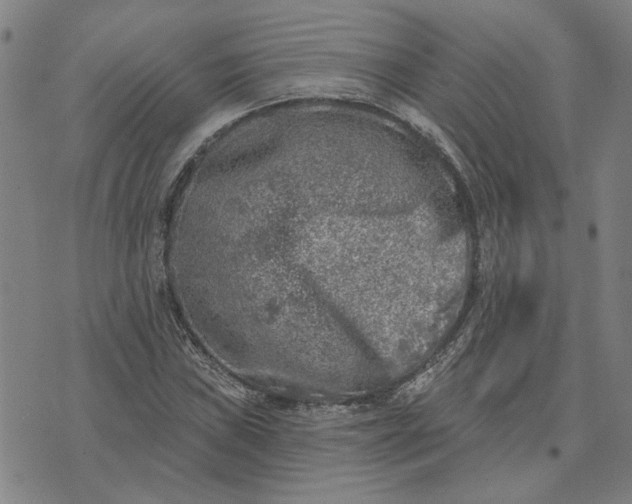 X0000074261019200609081731