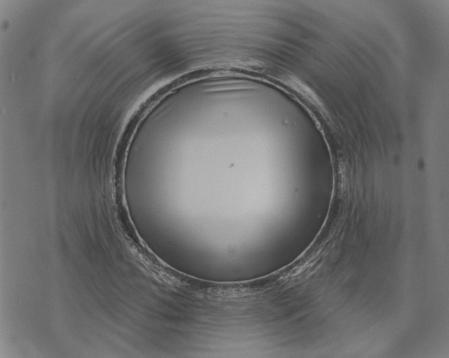 X0000074261020200609081731