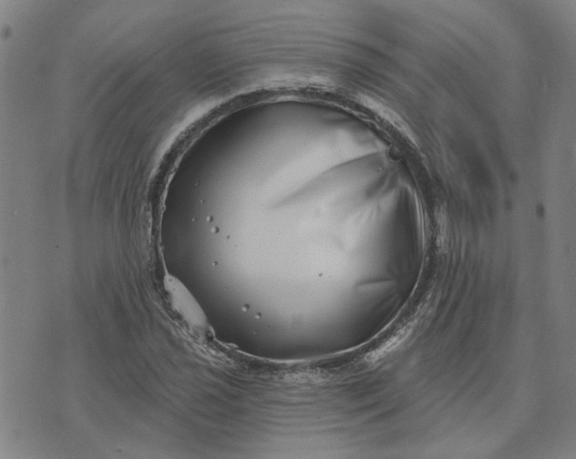 X0000074261021200609081731