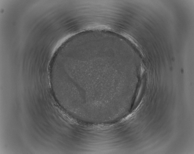 X0000074261022200609081731