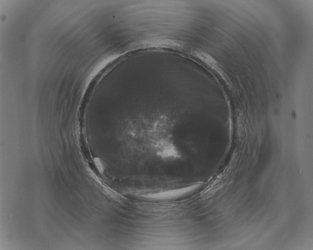 X0000074261024200609081731