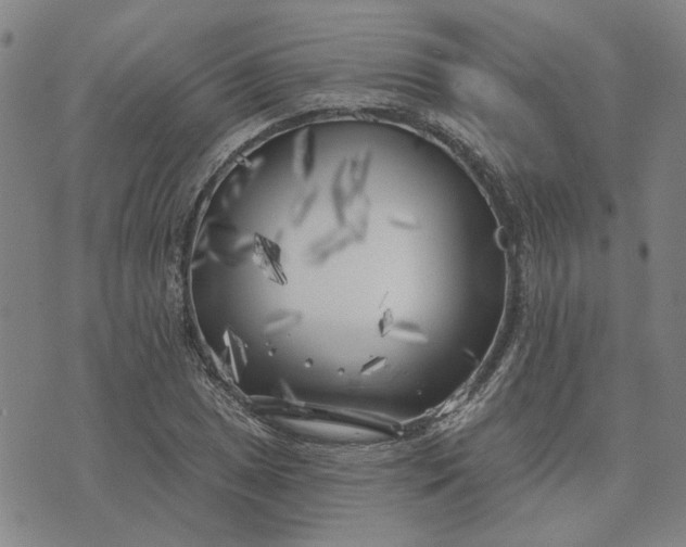 X0000074261025200609081731