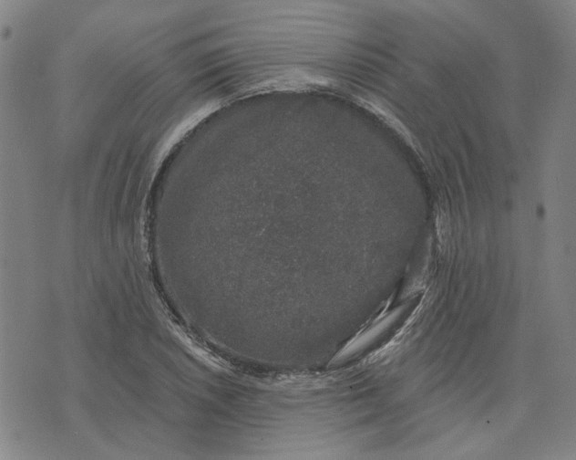 X0000074261026200609081731