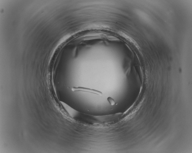 X0000074261029200609081731